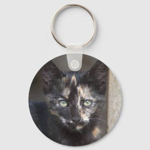 Llavero Tortoiseshell Kitten