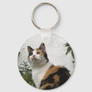 Llavero Tortoiseshell y gato blanco