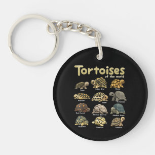 Llavero Tortuga Animales del Mundo Reptil Lindo Tortuga