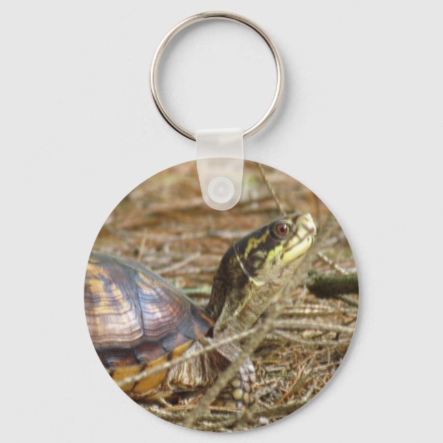 Llavero Tortuga - Cuello fuera (Anverso)