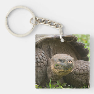 Llavero Tortuga gigante
