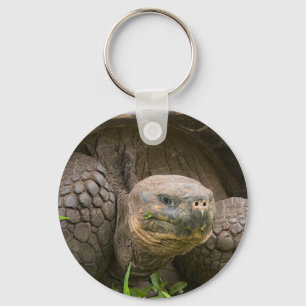 Llavero Tortuga gigante