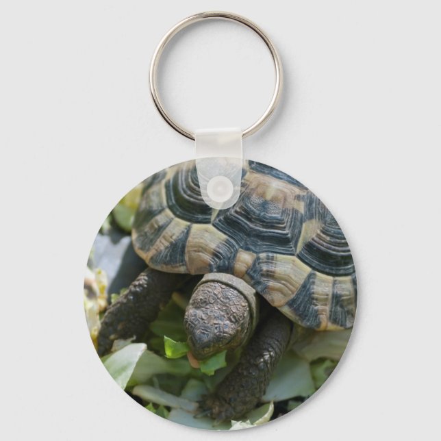 Llavero Tortuga linda (Anverso)