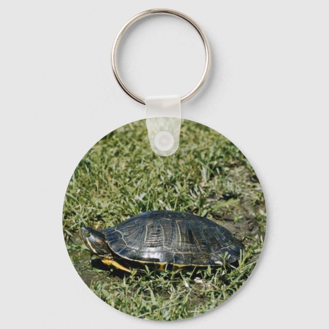 Llavero Tortuga pintada (Anverso)
