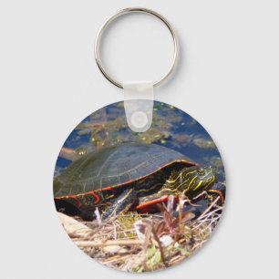 Llavero Tortuga pintada (Chrysemys picta) 3