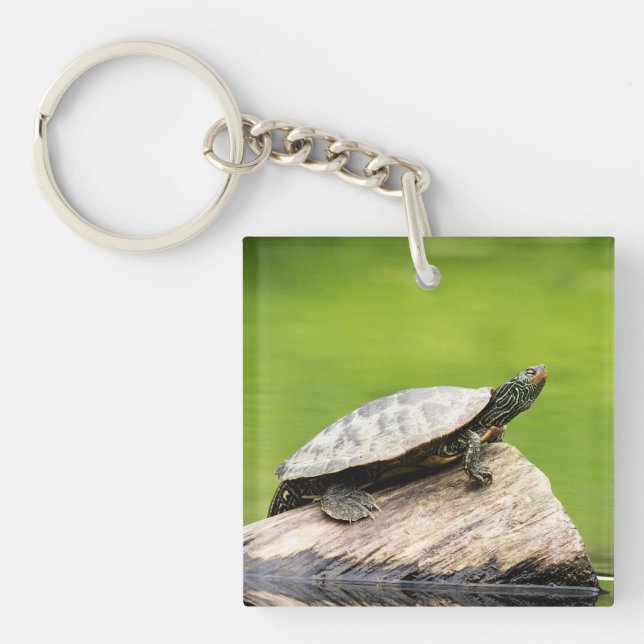 Llavero Tortuga pintada en un tronco (Frente)