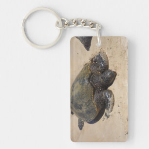 Llavero Tortugas