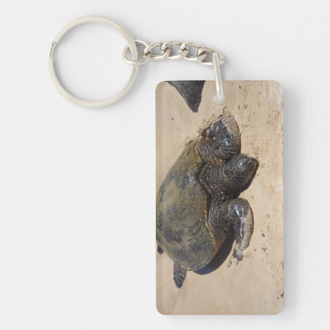 Llavero Tortugas (Frente)