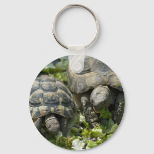 Llavero Tortugas Lindas