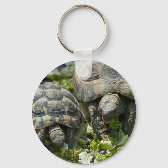 Llavero Tortugas Lindas (Anverso)