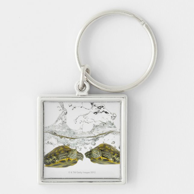 Llavero Tortugas rojas del resbalador (Frente)