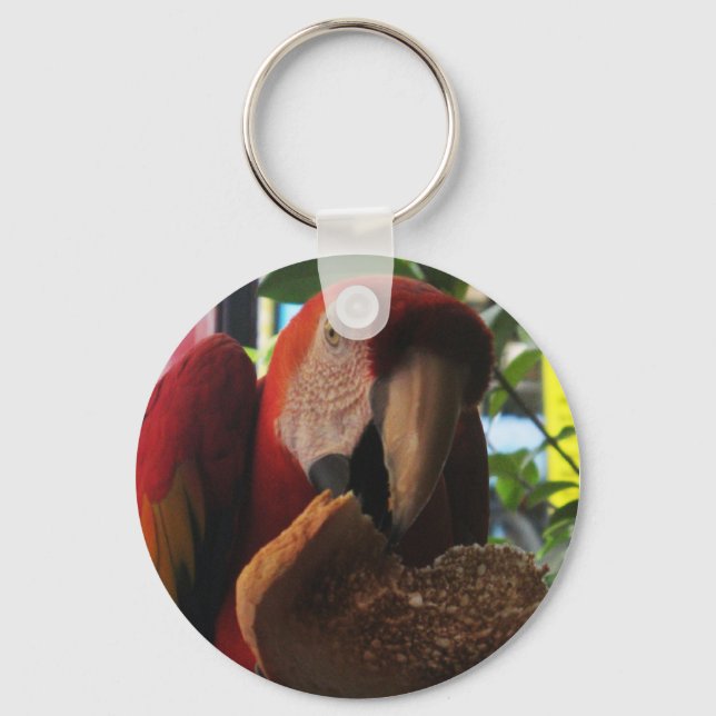 Llavero Tostada de loro de Macaw escarlata (Anverso)