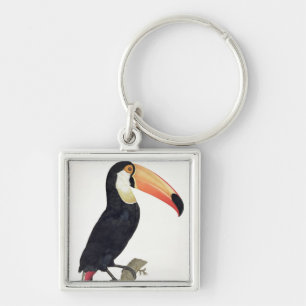 Llavero Toucan No.2, de la 'historia de los pájaros de