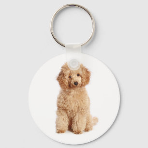 Llavero Toy Apricot Poodle Puppy Love Dog Key Chain