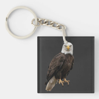Llavero traje de águila americana