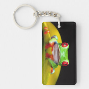 Llavero Treefrog de ojos rojos, calidryas agalychinis, nat