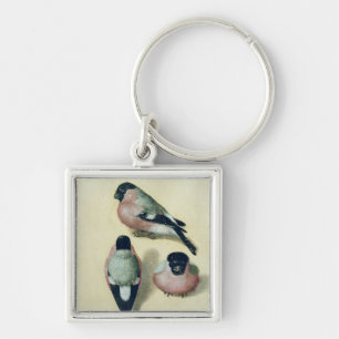 Llavero Tres estudios de un bullfinch