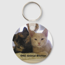 Tres gatitos de refugio