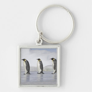 Llavero Tres pingüinos de emperador, isla de la colina de