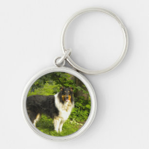 Llavero Tri collie del color
