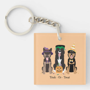 Llavero Trick O Traer Perros En Vestidos De Halloween
