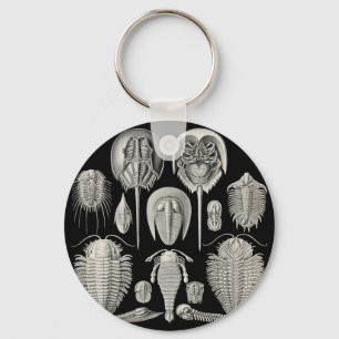 Llavero ¡Trilobite!