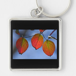 Llavero Trío de hojas de otoño iluminadas coloridas