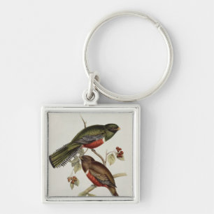 Llavero Trogon Collaris