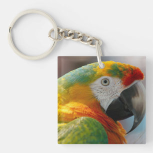 Llavero Trópico de Macaw