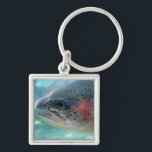 Llavero Trucha arco iris<br><div class="desc">Ofrece una foto del primer de una trucha arco iris (a veces llamada una trucha de color salmón) a través de una ventana de visión en el criadero de los pescados de Bonneville en Oregon. La trucha arco iris es la misma especie que la trucha arco iris, la diferencia que...</div>