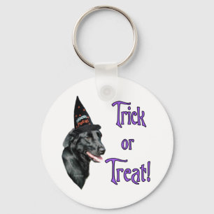 Llavero Truco de recuperación de capa plana