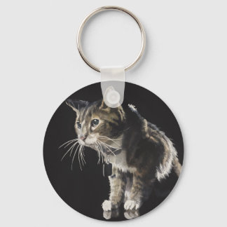 Llavero Trufa la acuarela del gato del tabby