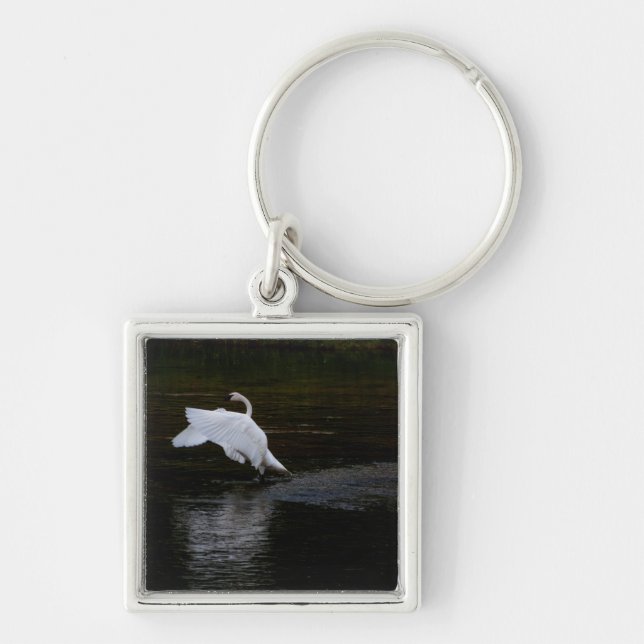 Llavero Trumpeter Swan (Frente)