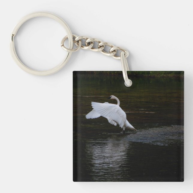 Llavero Trumpeter Swan (Frente)