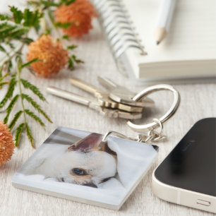 Llavero Tu mascota perro cachorro personalizado foto chihu