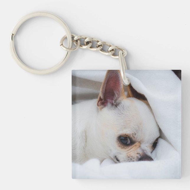 Llavero Tu mascota perro cachorro personalizado foto chihu (Frente)