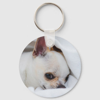 Llavero Tu mascota perro cachorro personalizado foto chihu