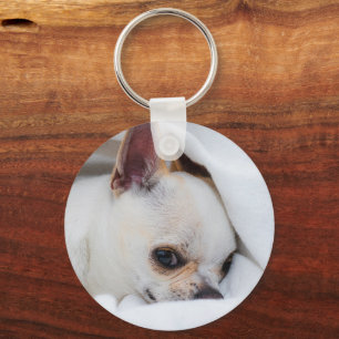 Llavero Tu mascota perro cachorro personalizado foto chihu