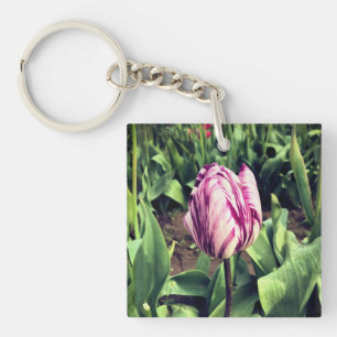 Llavero Tulipán de franja única púrpura y blanca