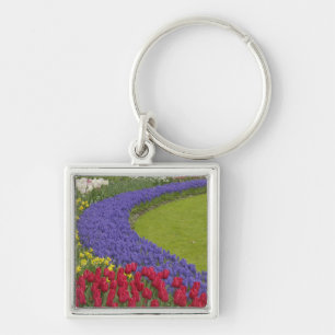 Llavero Tulipán, Hyacinth de uva y jardín de daffodias,