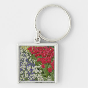 Llavero Tulipán y jardín daffodil, Keukenhof Gardens,