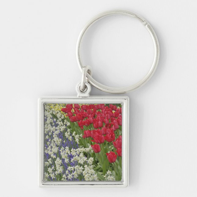 Llavero Tulipán y jardín daffodil, Keukenhof Gardens, (Frente)