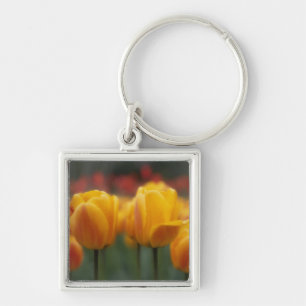 Llavero Tulipanes 2