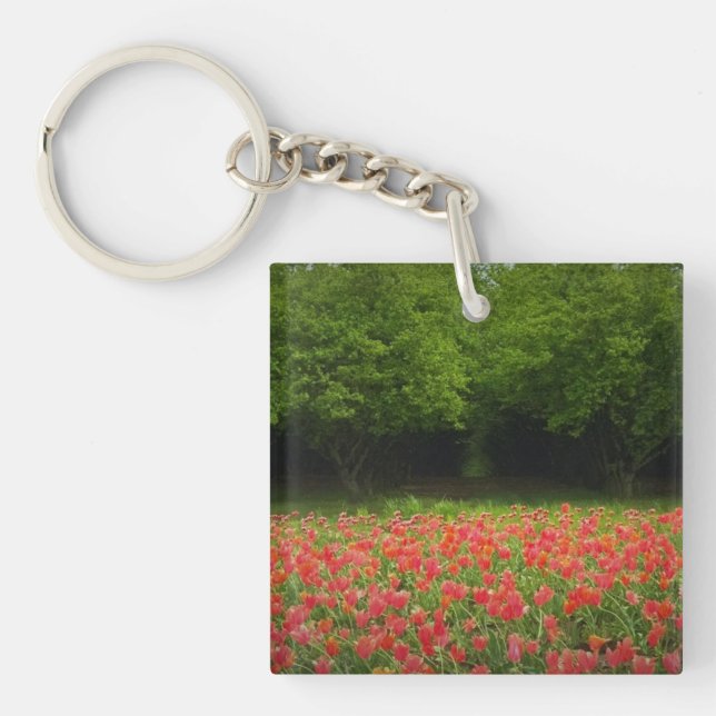 Llavero Tulipanes & Árboles (Frente)