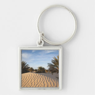 Llavero Túnez, desierto del Sahara, Douz, Gran Duna, palma
