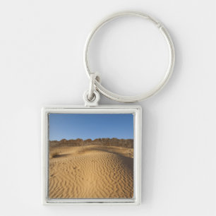 Llavero Túnez, zona de Ksour, Ksar Ghilane, Gran Erg 2
