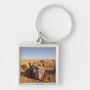 Llavero Túnez, zona de Ksour, Ksar Ghilane, Gran Erg 3