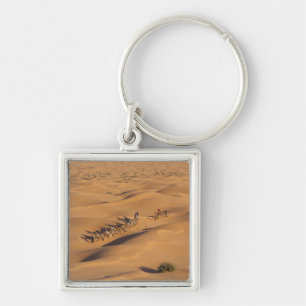 Llavero Túnez, zona de Ksour, Ksar Ghilane, Gran Erg 4