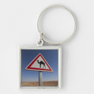 Llavero Túnez, zona de Ksour, Ksar Ghilane, Gran Erg 6