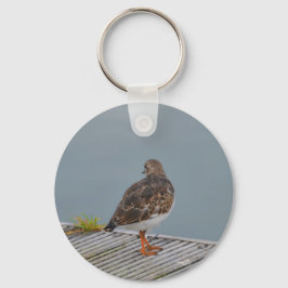 Llavero Turnstone